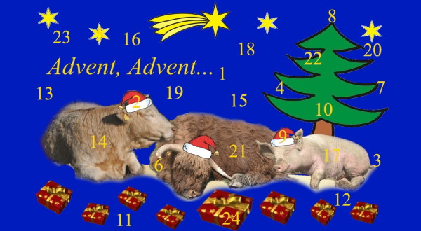 ADVENTKALENDER 2024